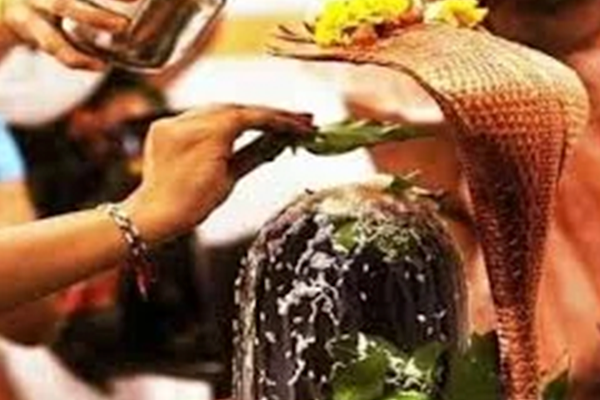 Online Vastu Consultation & Remedies