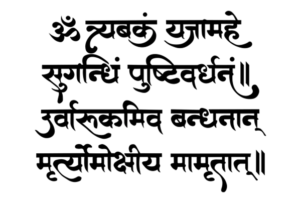 Online Vastu Consultation & Remedies